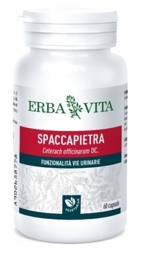 SPACCAPIETRA 60CPS