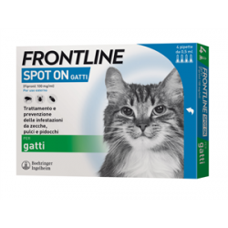 Frontline*4pip gatti