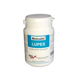 Melcalin lupes 56 capsule