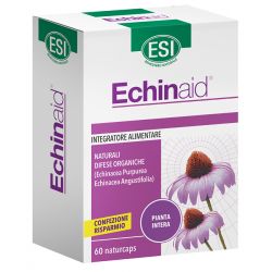 Echinaid 60 capsule