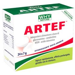 Artef arthrimin 24 bustine