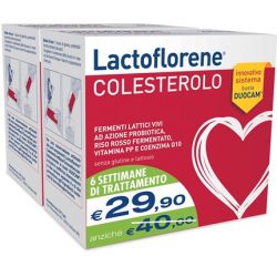 Lactoflorene colesterolo bipack 40 bustine