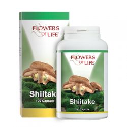 Shiitake 100 capsule flowers of life