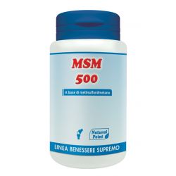 Msm 500 100 capsule vegetali